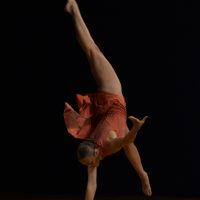 DSC_0099