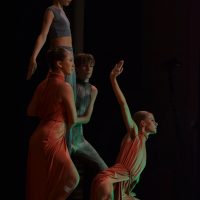 DSC_0986