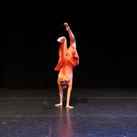 IMG_8916